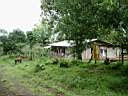 Petite habitation locale